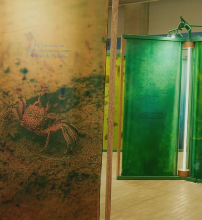 Biofilia: aguas que tejen el tiempo Una exposición sobre la riqueza biológica y cultural del altiplano cundiboyacense, un territorio donde el agua ha esculpido paisajes, tejido historias y dado forma a la vida